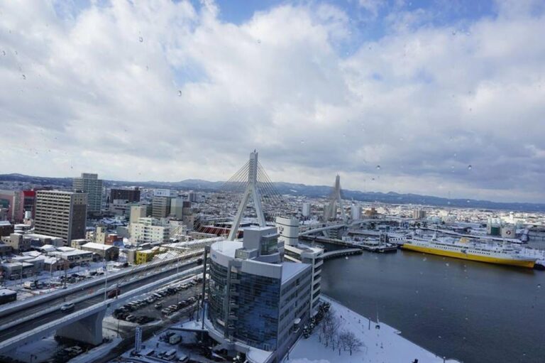 インバウンド向けサービスの実証実験